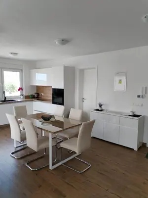Kuhinja ili čajna kuhinja u objektu Apartman Petra