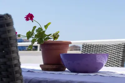 Balkon ili terasa u objektu Villa Planka Pearl