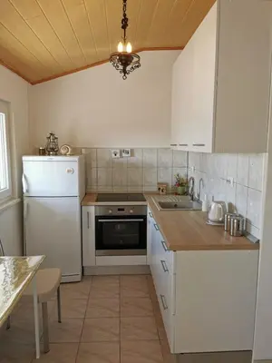Kuhinja ili čajna kuhinja u objektu Apartmani Vana 1