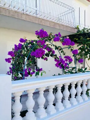 Balkon ili terasa u objektu Apartments Eni