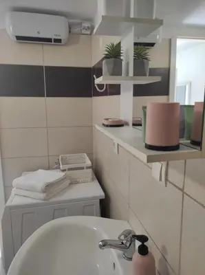 Kupaonica u objektu Studio Apartment Petrov