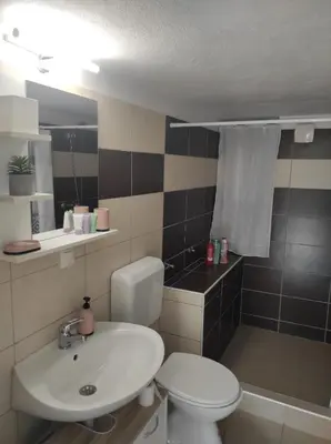Kupaonica u objektu Studio Apartment Petrov