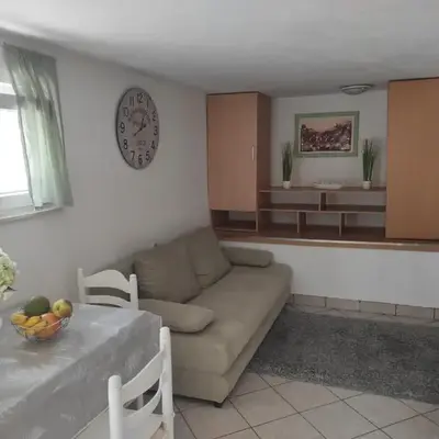 Studio Apartment Petrov