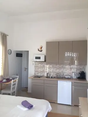 Kuhinja ili čajna kuhinja u objektu Apartments Adria
