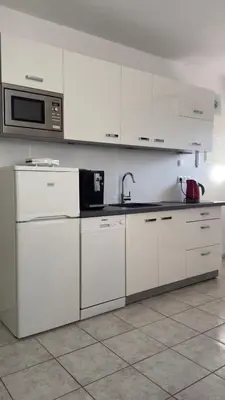 Kuhinja ili čajna kuhinja u objektu Apartments Adria