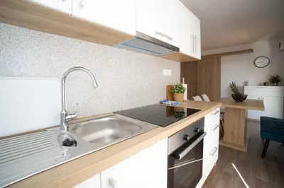 Kuhinja ili čajna kuhinja u objektu Mobile Home Lana