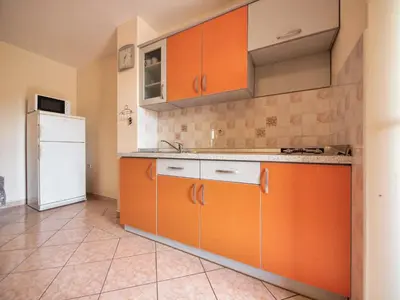 Kuhinja ili čajna kuhinja u objektu Apartments Vladimir