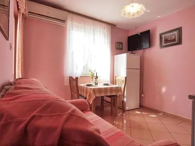 TV i/ili zabavni centar u objektu Apartments Vladimir