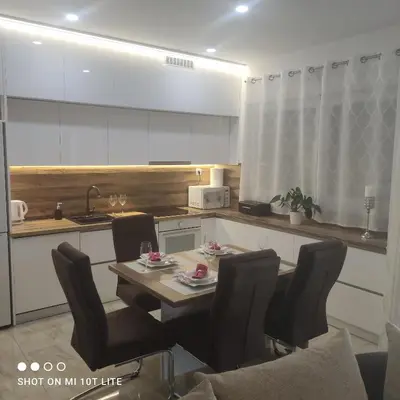 Kuhinja ili čajna kuhinja u objektu Apartment T&T Žaborić