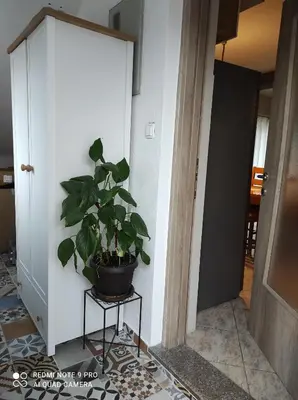 Tlocrt objekta Apartman Lucia