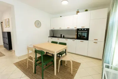 Kuhinja ili čajna kuhinja u objektu LUXURY STYLISH APARTMENT BURE