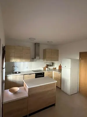 Kuhinja ili čajna kuhinja u objektu Apartman Dora