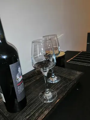 Pića u objektu Studio apartman Laca