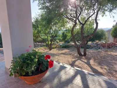 Vrt u objektu Olive Garden House Šibenik