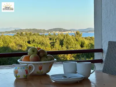 Priroda u blizini apartmana