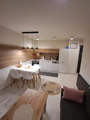 Kuhinja ili čajna kuhinja u objektu Apartmani Datea