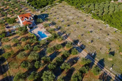 Vrt u objektu MY DALMATIA - Authentic Villa Storia with private heated pool