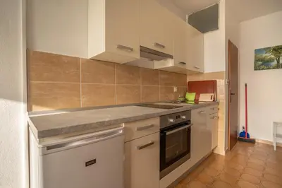 Kuhinja ili čajna kuhinja u objektu Apartmani Tratinčica
