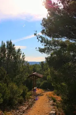 Priroda u blizini vikendica