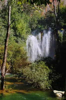 Priroda u blizini vikendica