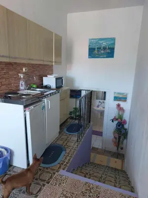 Kuhinja ili čajna kuhinja u objektu Apartments by the sea Tisno, Murter - 21405