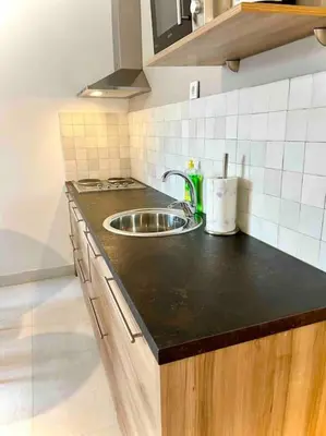 Kuhinja ili čajna kuhinja u objektu Fantažija Apartment