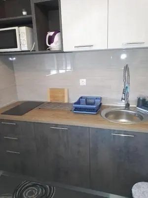 Kuhinja ili čajna kuhinja u objektu Apartmens Zora
