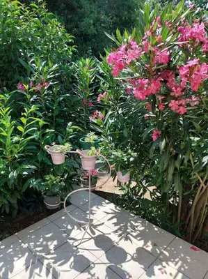 Vrt u objektu Whole house Ariela, 20m to the beach, has a barbecue, 2 terraces