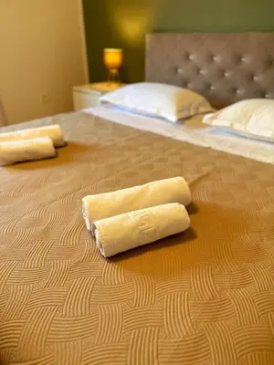 Krevet ili kreveti u jedinici u objektu Apartman Terra