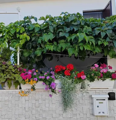 Vrt u objektu Apartman studio Otium