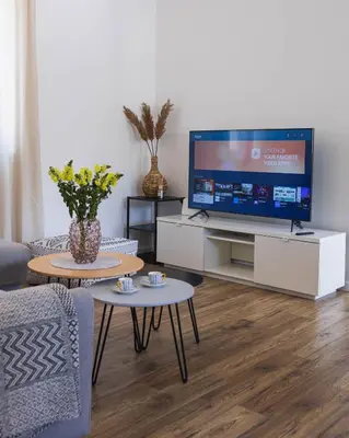 TV i/ili zabavni centar u objektu Apartment Greba