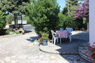 Vrt u objektu Apartments and rooms by the sea Brodarica - Sibenik - 21536