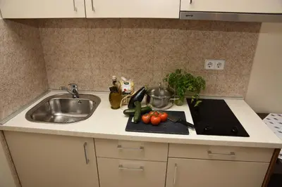Kuhinja ili čajna kuhinja u objektu Apartments Lavendula