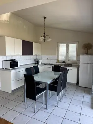 Kuhinja ili čajna kuhinja u objektu Villa Curkovic