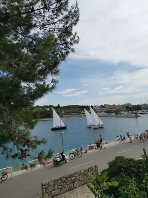 Priroda u blizini apartmana