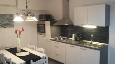 Kuhinja ili čajna kuhinja u objektu Apartments Martinović