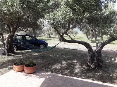 Vrt u objektu Robinson house Sea & olives