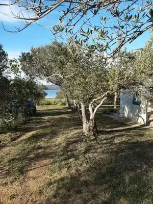 Priroda u blizini vikendica