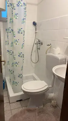 Kupaonica u objektu Apartment Denisse