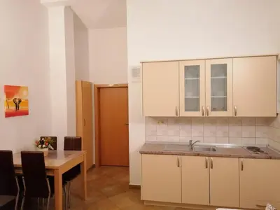 Kuhinja ili čajna kuhinja u objektu Apartments Maca