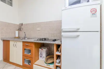 Kuhinja ili čajna kuhinja u objektu Apartments Davor
