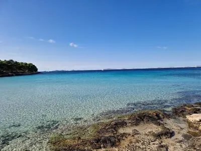 Priroda u blizini kampova