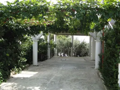 Vrt u objektu Apartment in Primosten - Sibenik Riviera 45762