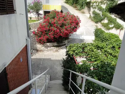 Vrt u objektu Apartment in Primosten - Sibenik Riviera 45762