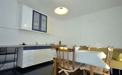 Kuhinja ili čajna kuhinja u objektu Apartment in Primosten - Sibenik Riviera 45759