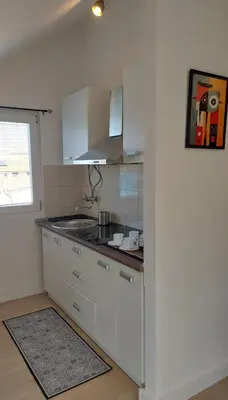 Kuhinja ili čajna kuhinja u objektu Apartments Marta