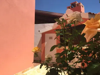 Tlocrt objekta Apartments Bibic