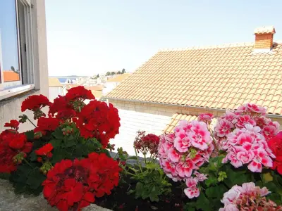 Vrt u objektu Apartment in Primosten - Sibenik Riviera 35910