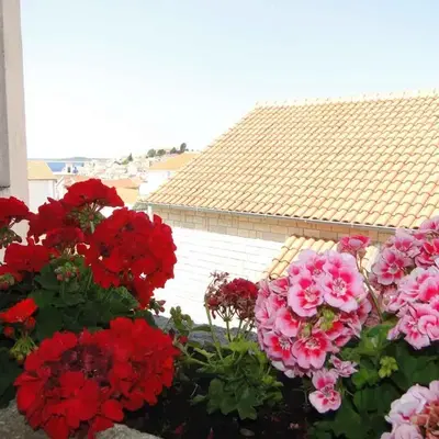 Apartment in Primosten - Sibenik Riviera 35910