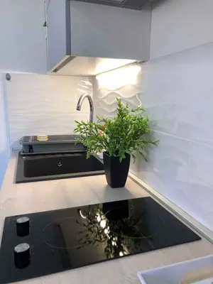 Kuhinja ili čajna kuhinja u objektu Apartment in Primosten - Sibenik Riviera 35564
